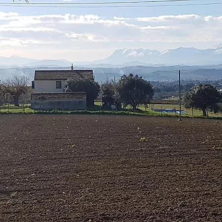 Il Gelso *