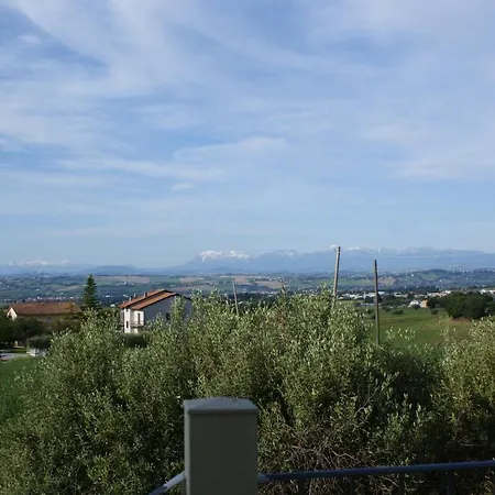 Il Gelso
